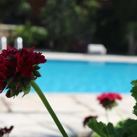 Apartment Paradise Gardens Holiday